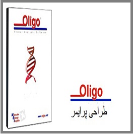 دانلود فیلم آموزشی آشنایی با مقدمات طراحی پرایمر
