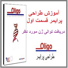 آموزش طراحی پرایمر قسمت اول: آموزش NCBI جهت یافتن توالی ژن در NCBI