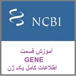 آموزش کار با سایت NCBI بخش GENE: یافتن اطلاعات کامل یک ژن