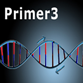 آموزش طراحی پرایمر با نرم افزار پرایمر 3 Primer3