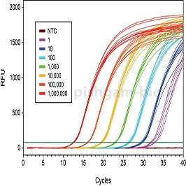 آنالیز داده های real time pcr و آموزش تفسیر نتایج real time pcr