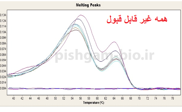 تفسیر نمودار ریل تایم real time pcr: منحنی ذوب (melt curve)