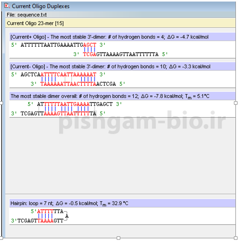 آموزش اصول طراحی پرایمر