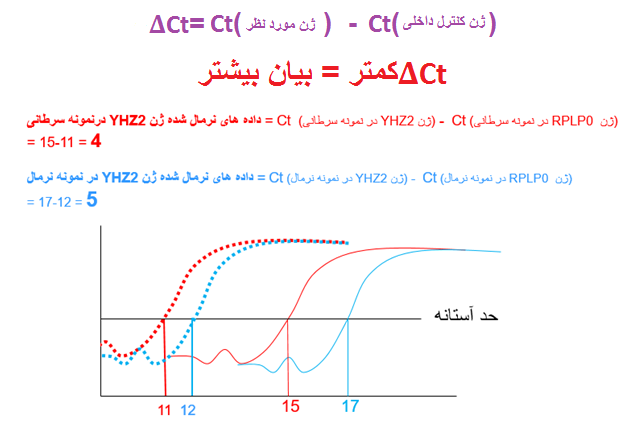 آشنایی با مفهوم دلتا Ct (∆Ct) در آنالیز و تفسیر نتایج تکنیک ریل تایم (real Time PCR)