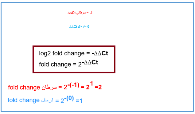 آشنایی با مفهوم Fold change و نحوه محاسبه دلتا دلتا Ct (∆∆Ct) در ریل تایم