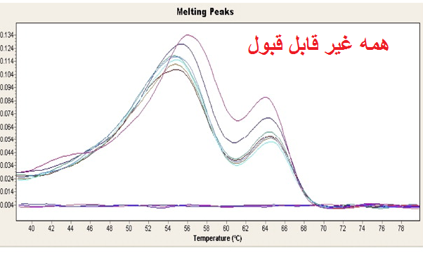 آموزش تفسیر منحنی ذوب (melt curve) در ریل تایم پی سی ار