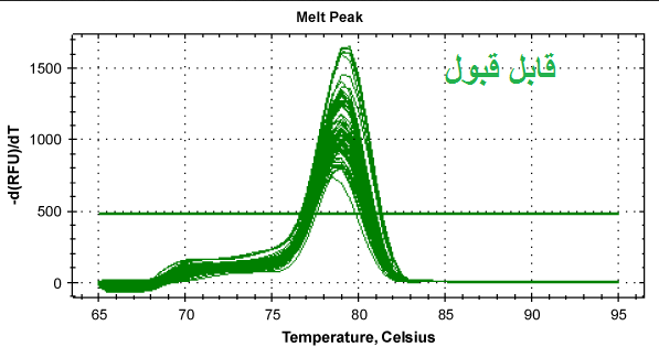 آموزش تفسیر منحنی ذوب (melt curve) در ریل تایم پی سی ار