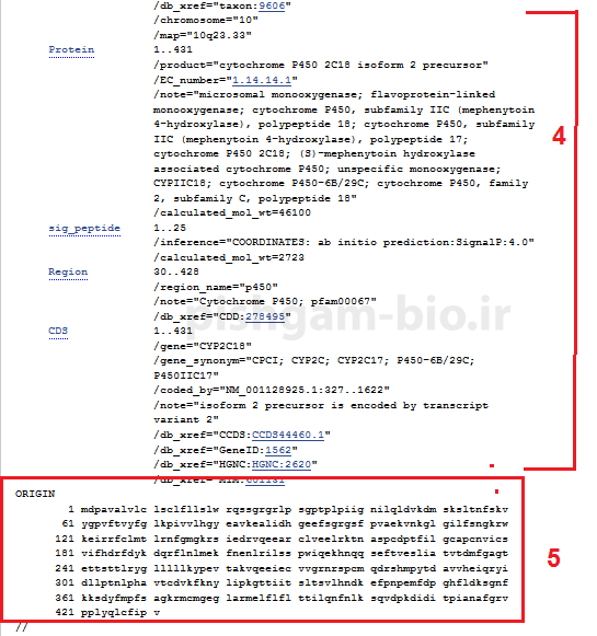 یافتن توالی مرجع یک پروتئین در سایت NCBI
