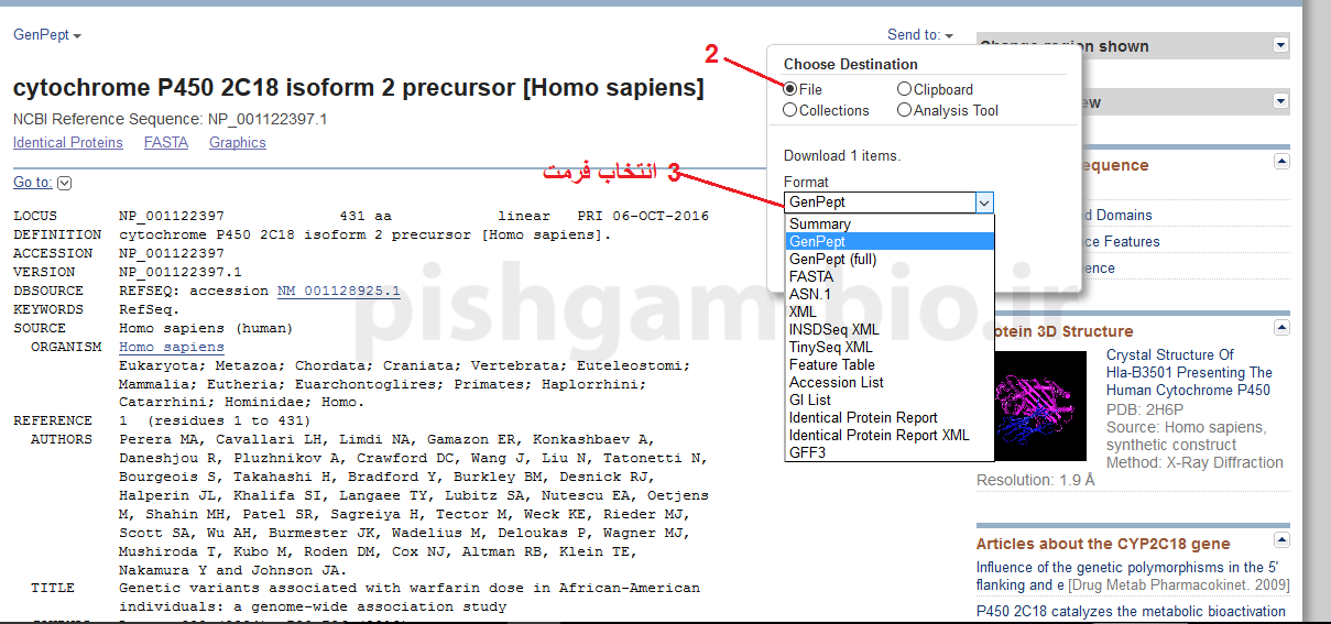 یافتن توالی مرجع یک پروتئین در سایت NCBI