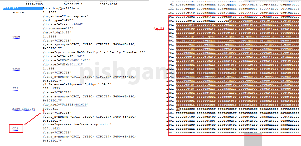 یافتن توالی مرجع ژن ها (refseq) در سایت NCBI