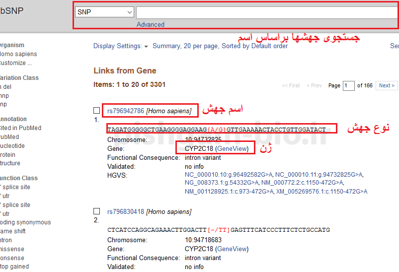 آموزش سایت NCBI :شناسایی جهش های یک ژن (SNP) در NCBI