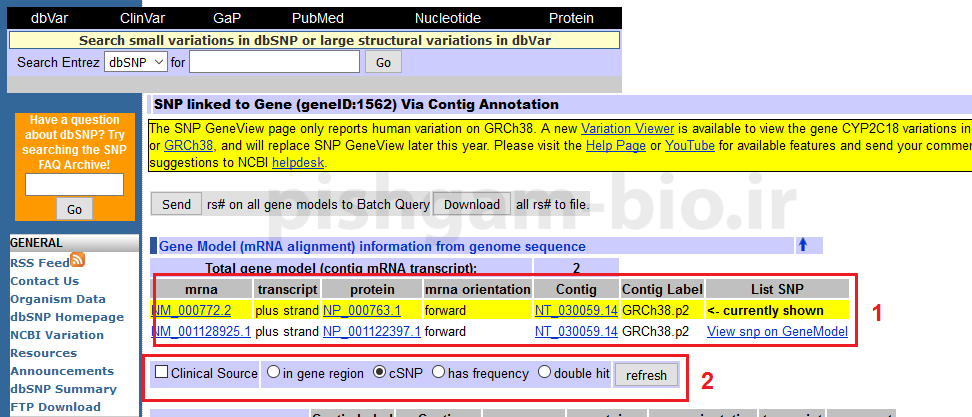 آموزش سایت NCBI :شناسایی جهش های یک ژن (SNP) در NCBI