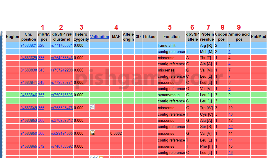 دانلود فایل آموزش NCBI بخش GENE با فرمت PDF