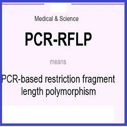 توضیح جامع روش PCR-RFLP از سیر تا پیاز: بیوانفورماتیک تا آنالیز آماری