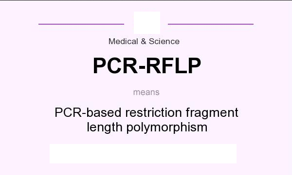 توضیح جامع روش PCR-RFLP از مرحله انتخاب SNP، طراحی پرایمر، انتخاب آنزیم و آنالیز 