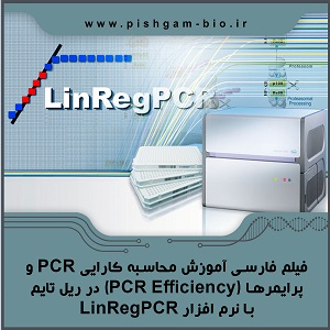 فیلم فارسی آموزش محاسبه کارایی PCR و پرایمرها ( PCR Efficiency) در ریل تایم با نرم افزار LinRegPCR