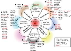 مروري بر ساختار و عملكرد میکروRNAها (microRNA) و نقش میکروارناها در پدیده های زیستی مانند سرطان