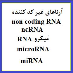 مرور و آشنایی با انواع آرناهای غیر کد کننده ( non coding RNAیا ncRNAها) و عملکرد آن ها