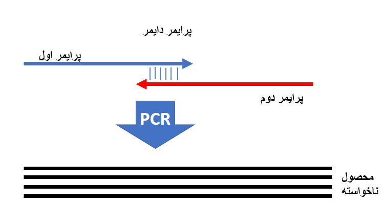 منظور از پرایمر دایمر در تکنیک ریل تایم (real time) و PCR چیست؟