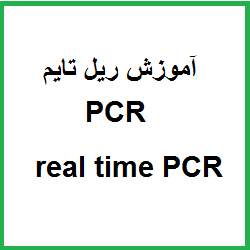 منظور از پرایمر دایمر  در تکنیک ریل تایم (real time) و PCR چیست؟