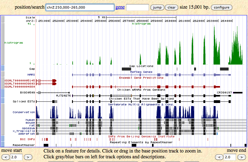 بررسی میزان حفظ شدگی توالی miRNA پیش بینی شده در به سایت UCSC Genome Browser