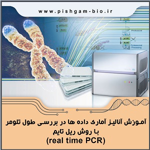 آموزش آنالیز آماری داده ها در بررسی طول تلومر با روش ریل تایم (real time PCR)