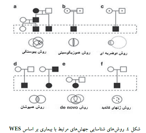 آشنایی با انواع روشهای توالی یابی اگزومی (WES)