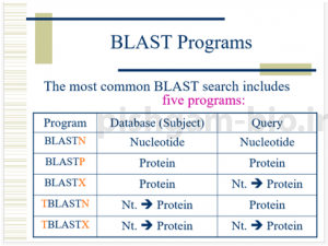 آموزش و معرفی تکنیک بلاست (blast) برای ژن ها ، نوکلئوتید ها و پروتئین ها