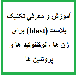 آموزش و معرفی تکنیک بلاست (blast) برای ژن ها ، نوکلئوتید ها و پروتئین ها و کاربردهای نرم افزار بلاست