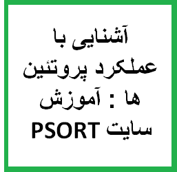 آشنایی با عملکرد پروتئین ها : آموزش سایت PSORT برای شناسایی محل عملکرد پروتئین ها