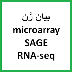 سنجش بیان ژن با روش میکرواری (microarray) و آنالیز سریالی بیان ژن (SAGE )و RNA-seq و کاربرد آن ها در علوم زیستی
