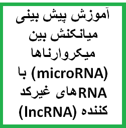 آموزش پیش بینی میانکنش بین میکروارناها (microRNA) با RNAهای غیرکد کننده (lncRNA)