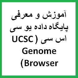 آموزش و معرفی پایگاه داده یو سی اس سی (UCSC Genome Browser)