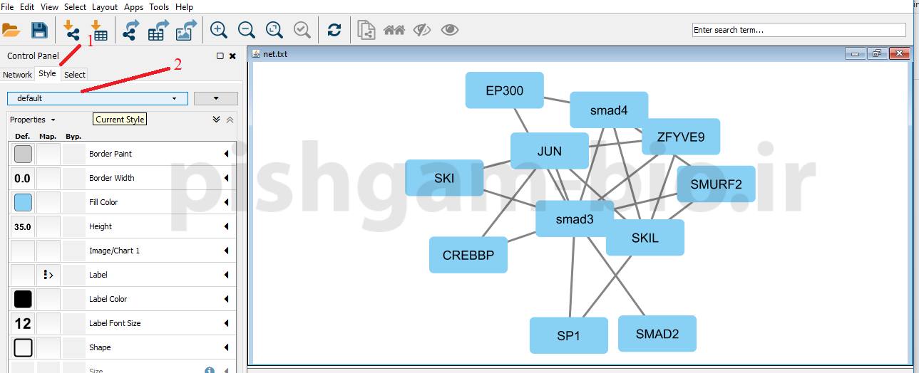 آموزش نرم افزار cytoscape برای ترسیم شبکه های میانکنشی بین پروتئین ها و ژن ها