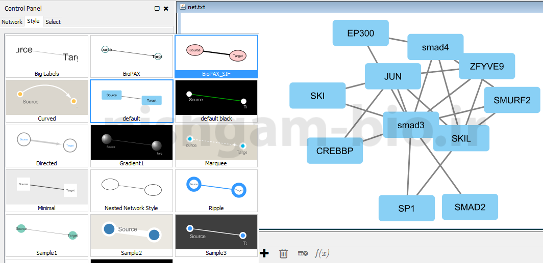 آموزش نرم افزار cytoscape برای ترسیم شبکه های میانکنشی بین پروتئین ها و ژن ها