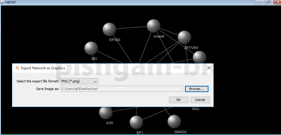 آموزش نرم افزار cytoscape برای ترسیم شبکه های میانکنشی بین پروتئین ها و ژن ها