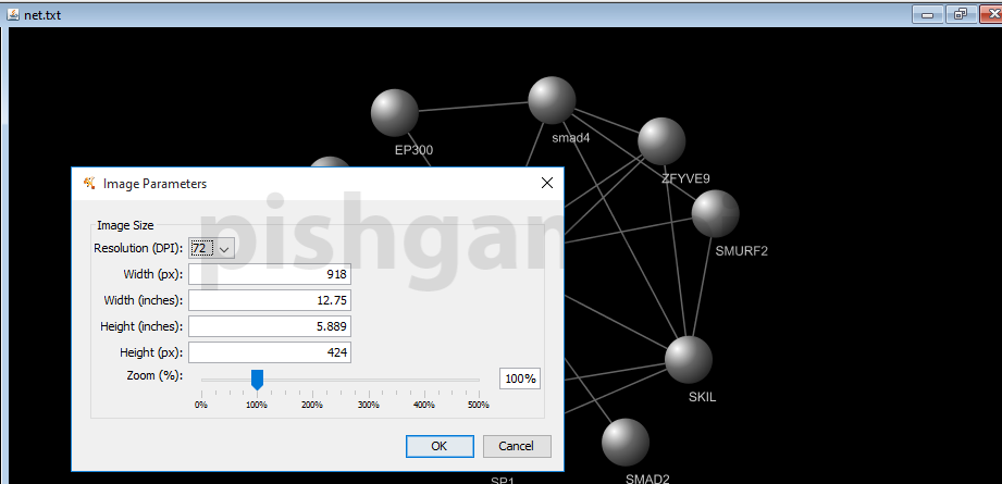 آموزش نرم افزار cytoscape برای ترسیم شبکه های میانکنشی بین پروتئین ها و ژن ها