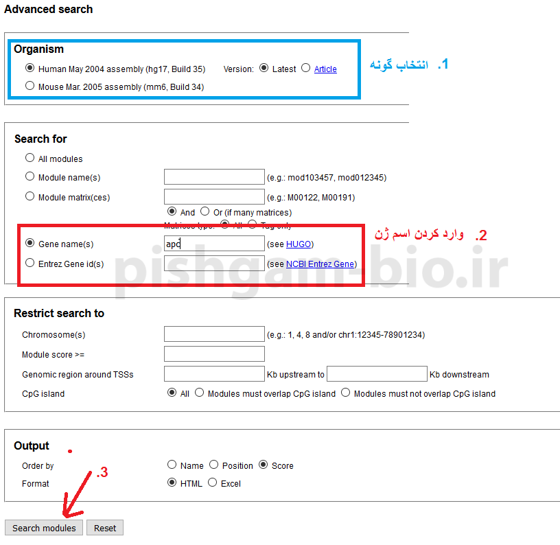 آموزش تعیین ناحیه پروموتری برای ژن ها: آموزش شناسایی فاکتورهای رونویسی متصل شونده به پروموترها در سایت PReMod