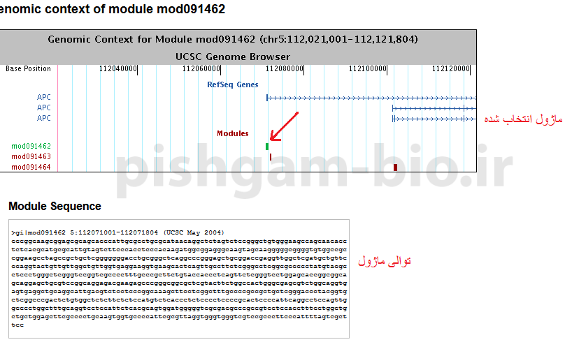 آموزش تعیین ناحیه پروموتری برای ژن ها: آموزش شناسایی فاکتورهای رونویسی متصل شونده به پروموترها در سایت PReMod