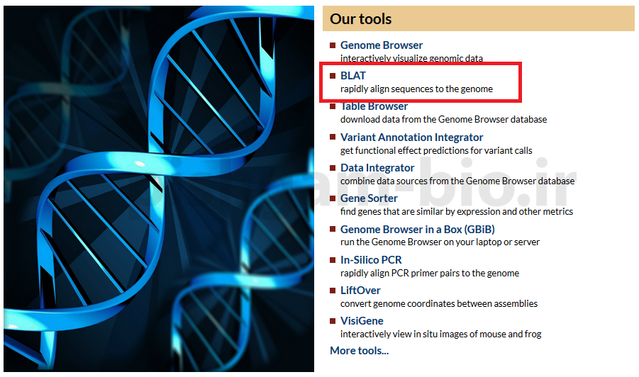 آموزش blat در پایگاه داده یو سی اس سی (UCSC Genome Browser)