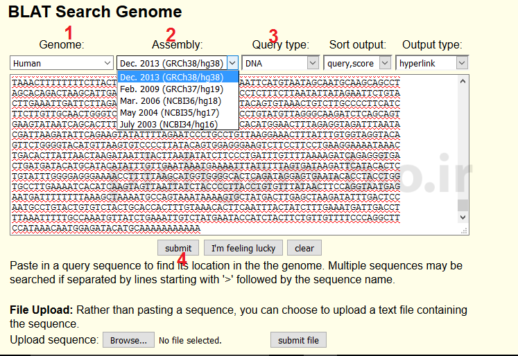 آموزش blat در پایگاه داده یو سی اس سی (UCSC Genome Browser)