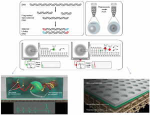 توالی یابی نسل آینده : آموزش  تکنیک (Semiconductor Sequencing (lon Torrent برای توالی یابی ژنوم ، DNA و RNA (cDNA)