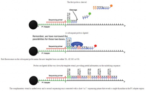  تکنیک ABI (Applied Biosystems) solid (sequencing by Oligo Ligation and Detection) system برای توالی یابی ژنوم ، DNA و RNA (cDNA)