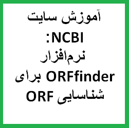 آموزش سایت NCBI: نرم‌افزار ORFfinder برای شناسایی و کشف چارچوب خواندن باز (ORF) در توالی DNA و RNA