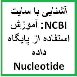 آشنایی با سایت ncbi : اموزش استفاده از پایگاه داده Nucleotide جهت جستجوی توالي هاي نوکلئوتیدي ژن ها
