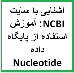 آشنایی با سایت  ncbi : اموزش استفاده از پایگاه داده Nucleotide جهت جستجوی توالي هاي نوکلئوتیدي ژن ها