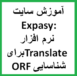 آموزش سایت Expasy: نرم افزار Translate برای شناسایی و کشف چارچوب خواندن باز (ORF) در توالی DNA و RNA