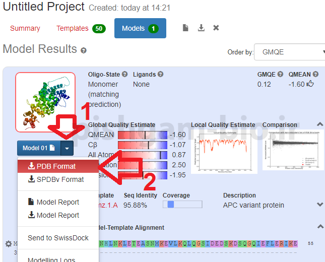 روش آموزش سایت Expasy: توضیح روش swissmodel برای پیش‌بینی ساختار سه‌بعدی پروتئین‌ها