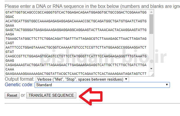 آموزش سایت Expasy: نرم افزار Translate برای شناسایی و کشف چارچوب خواندن باز (ORF) در توالی DNA و RNA