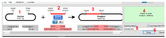 آموزش جامع نرمافزار SnapGene برای کلونینگ ژن ها، مراحل کلون نمودن ژن ها و طراحی پرایمر برای کلونینگ